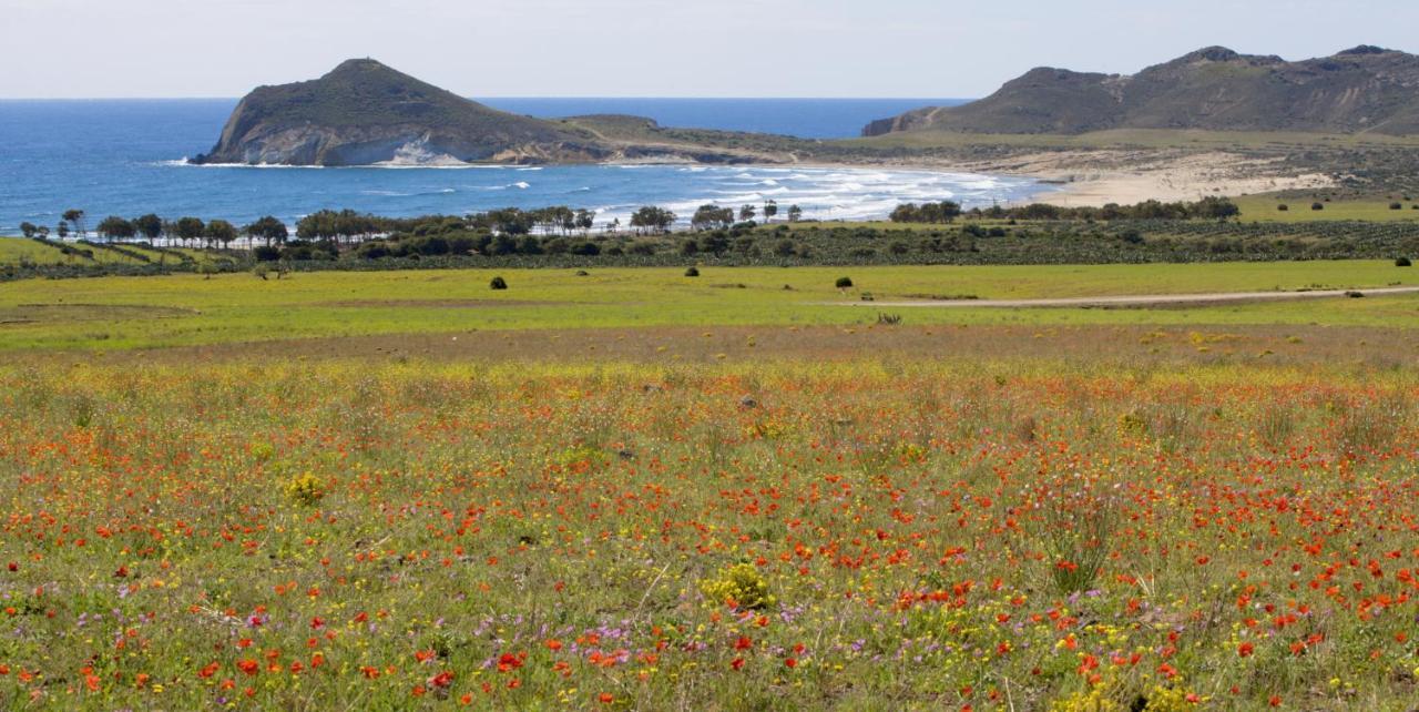 La Posada De Carmen นีคาร์ ภายนอก รูปภาพ